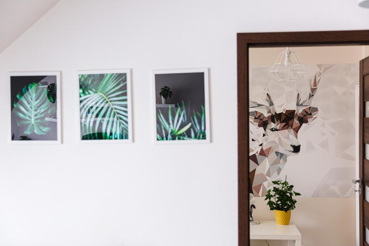 Apartament W Centrum Ustrzyki Dolne Bagian luar foto